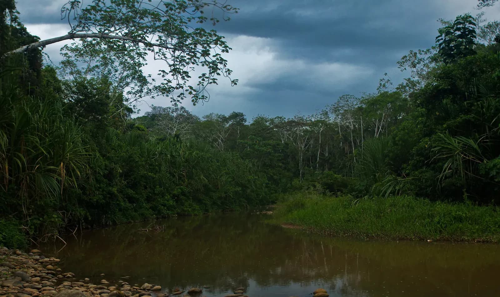 De los Yungas a la Amazonia: La Paz a Rurrenabaque en moto