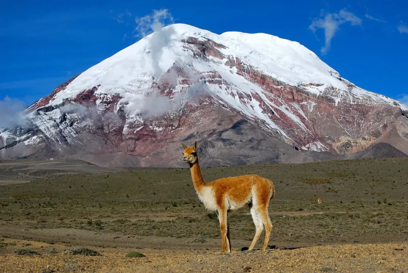 El Chimborazo: la carretera al Refugio Whymper en moto