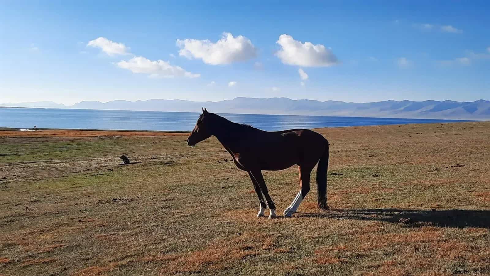 Kyrgyzstan by motorcycle