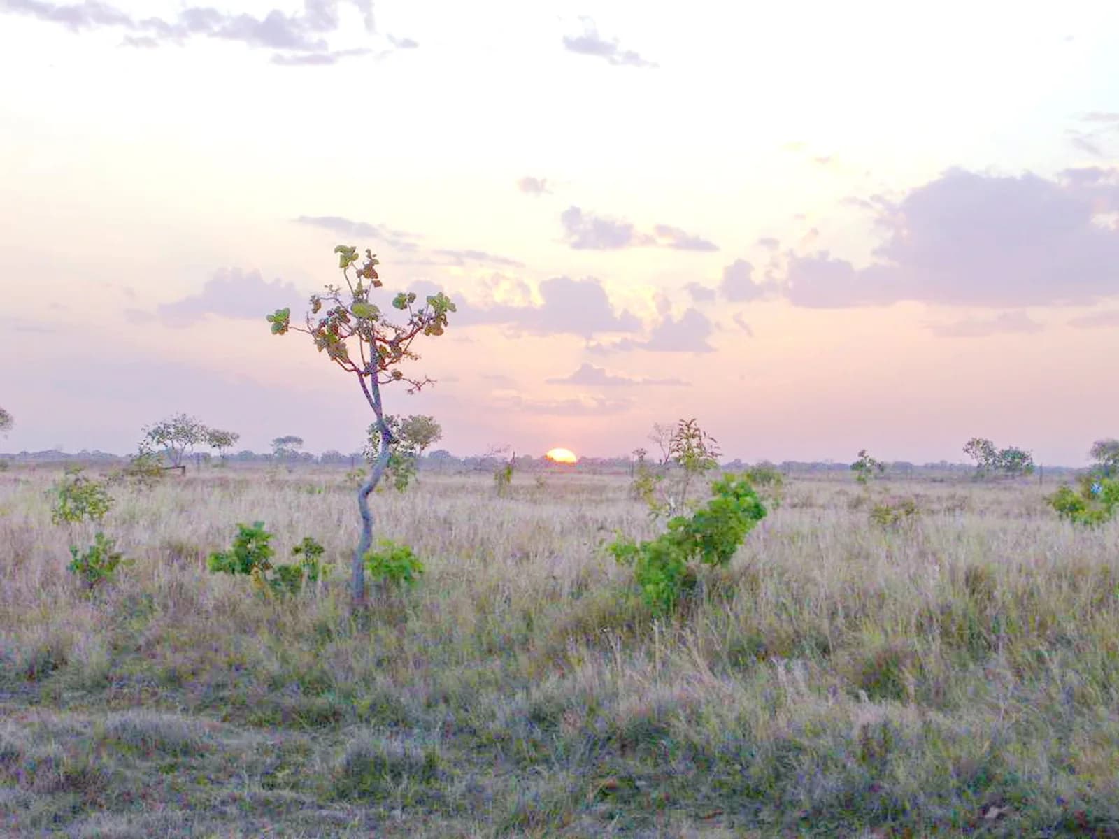 Los Llanos: safari en moto por Barinas, Apure y Guárico en moto