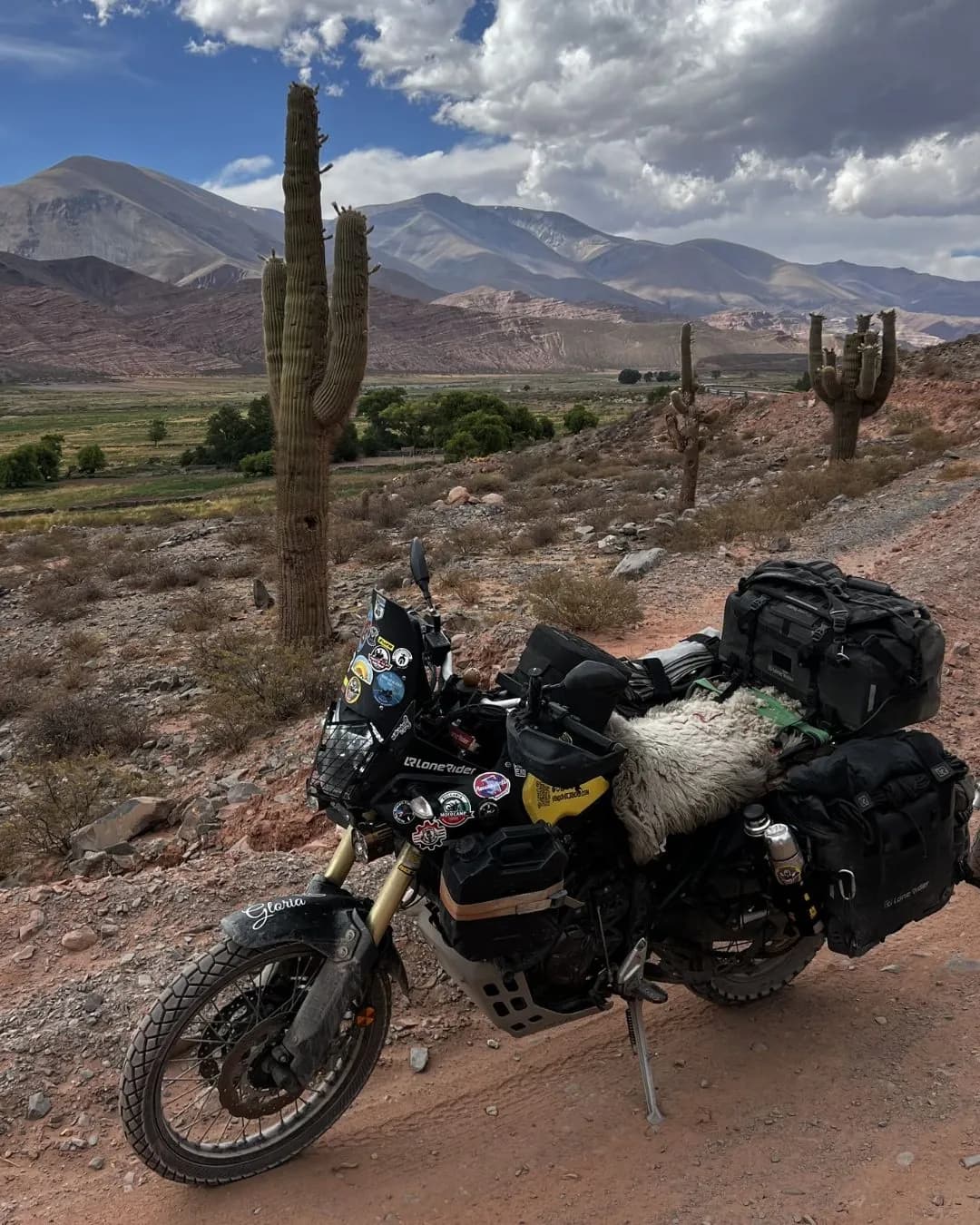 Cardon-cactus desert and altitude in northern Argentina