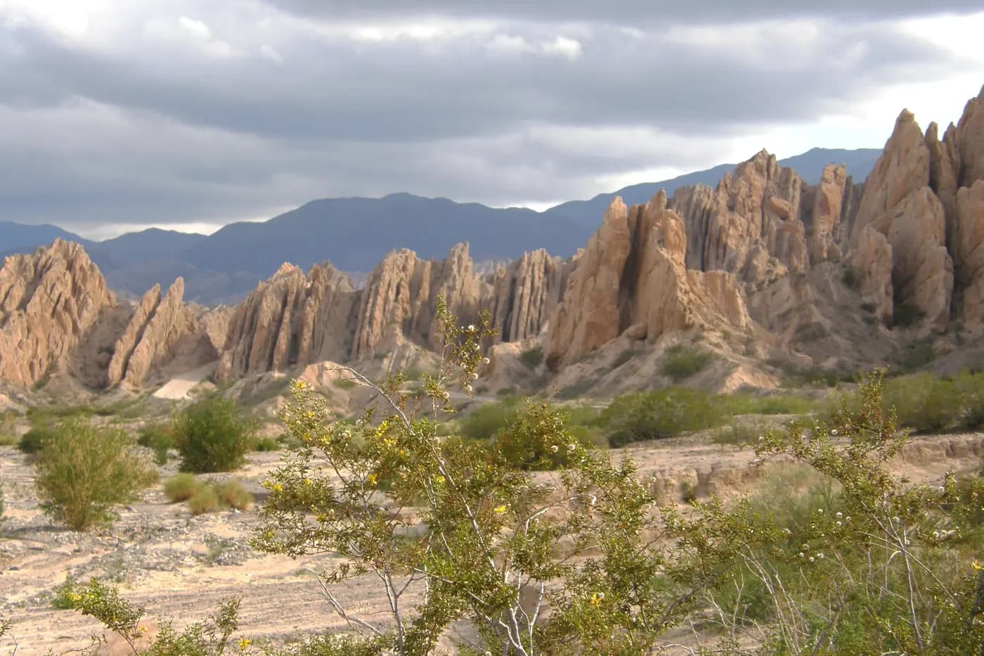 Ruta 40 North: Valles Calchaquíes and Quebrada de las Flechas by motorcycle