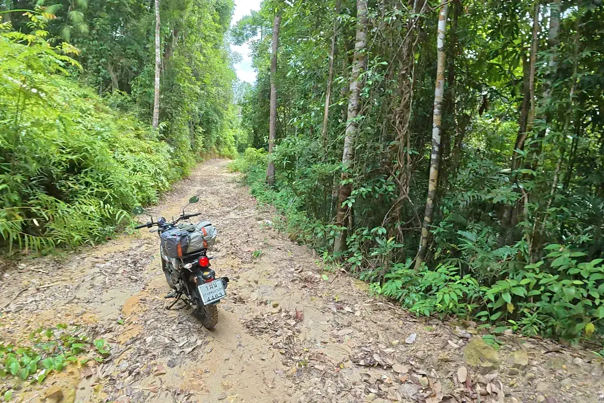 Moto de baja cilindrada en una pista de tierra entre la selva del sur de Tailandia